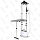 Costway 2-in-1 Garment Steamer